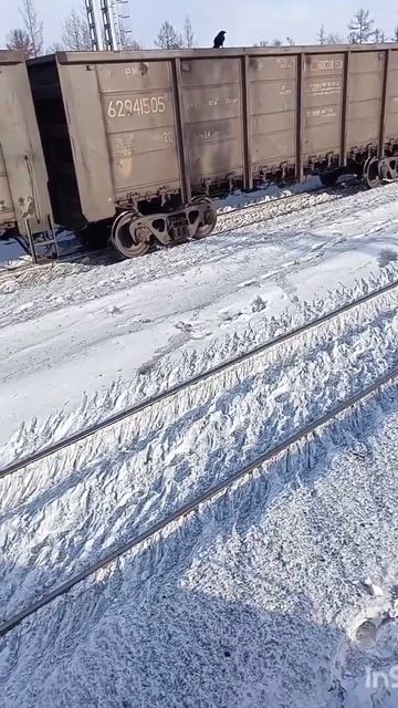 Ворон,Пупа и Лупа) смотреть онлайн