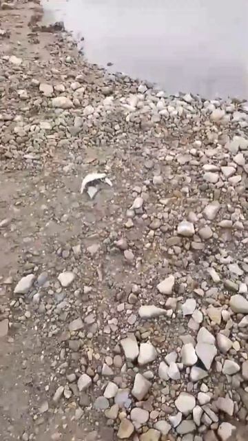 Рыбалка на Ленских столбах #якутия смотреть онлайн