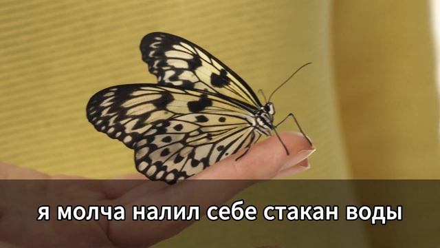 Моя жена сказала: «Я не буду исполнять твои желания». Т смотреть онлайн