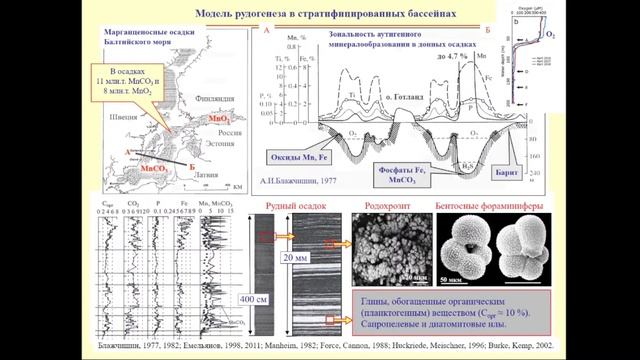 Совместное заседание Ученого совета ИГЕМ РАН 16.05.2024. смотреть онлайн