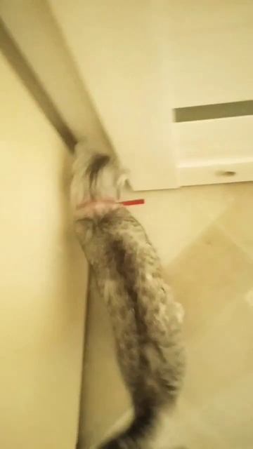 Я подарю вам ландыши от. Души Лайла смотреть онлайн