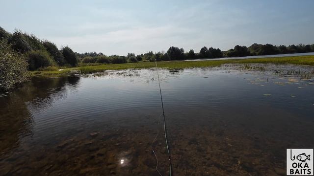 Нахлыст. Комар - мелкая мушка.