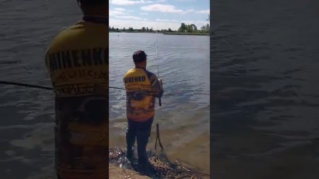 Димитровград, река Большой Черемшан. вываживание саза смотреть онлайн