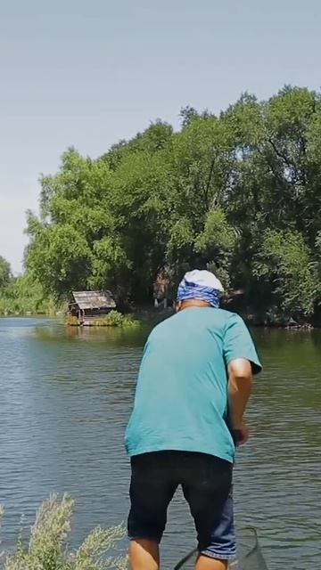 МОНСТР гнет удилище в ДУГУ, Бешенный толстолоб смотреть онлайн