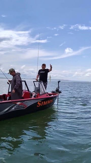 Веселовское водохранилище