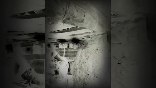 Лучший танец в мире смотреть онлайн