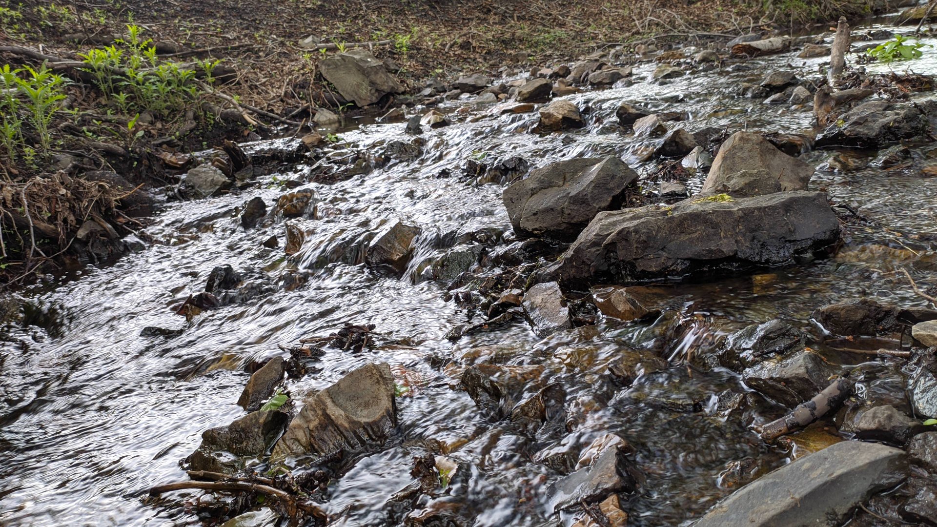 Дикая природа России - Дикий ручей - Wild stream смотреть онлайн