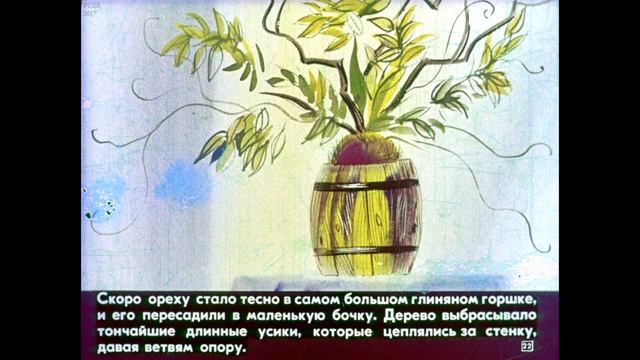 Диафильм Орех с далёкой Амазонки смотреть онлайн