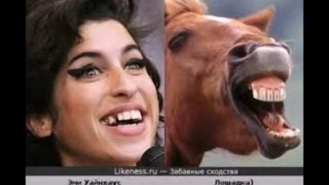 Ну очень похожие знаменитости. смотреть онлайн