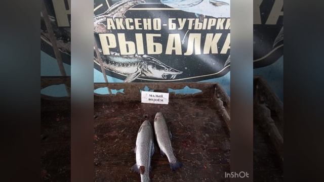 Продолжение лютого клева в КИНГ-ФИШ. Вот это открытие!!