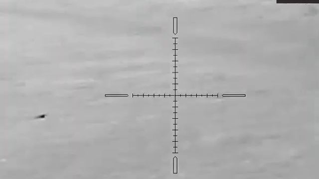 Тепловизионный прицел Arkon Alfa LT35. Косули 20-70 метров. Качество картинки. смотреть онлайн