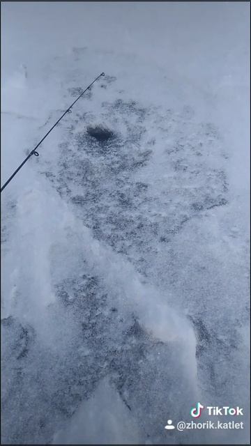 В Челябинске утро зимняя рыбалка