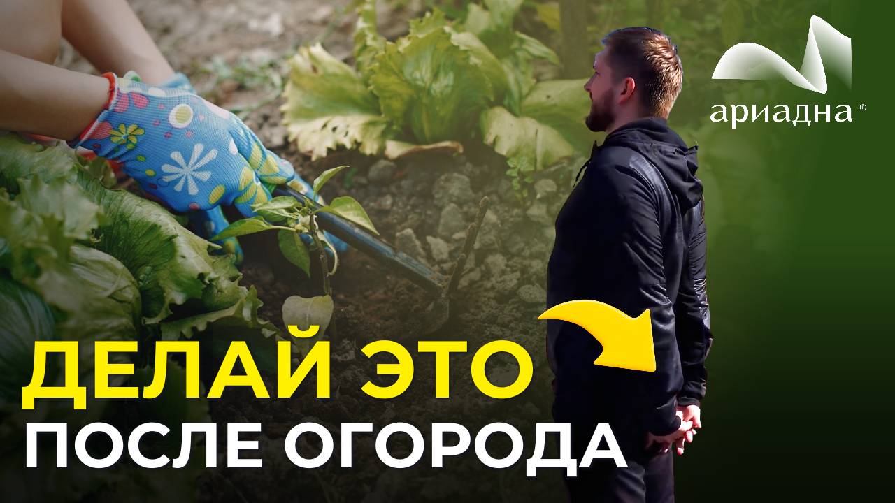 Боль в спине после огорода: Секреты разминки и защиты поясницы смотреть онлайн