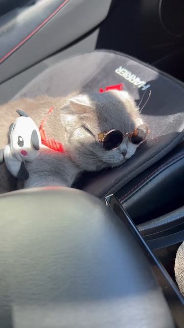 Хорошо там, где нас нет..А там где есть мы- ещё лучше!!🤪? смотреть онлайн