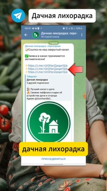 Эта ПОДКОРМКА обеспечит вас КЛУБНИКОЙ на весь сезон #о смотреть онлайн