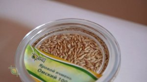 Омский АНЦ: будущее растёт здесь