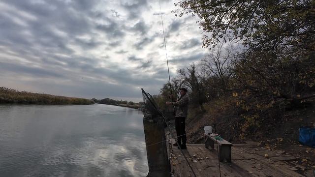 ПРИШЁЛ КОТ ВАСЯ, РЫБАЛКА НА ТЕРРИТОРИИ ЭЛЕВАТОРА, РЕКА