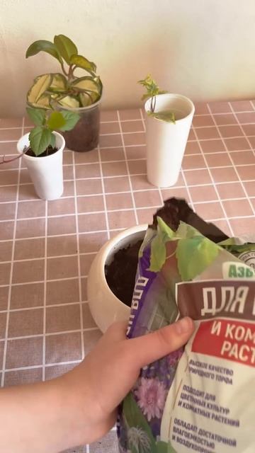 31 марта 2025 г. смотреть онлайн