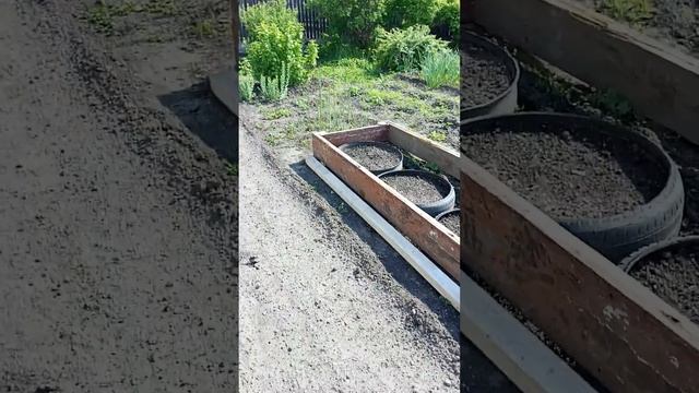 31 мая 2024 г.парник из хлама -1 смотреть онлайн