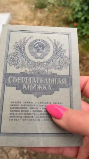 #chorts #гортензия Шоколадочки мои, загорелые👍🏾🌺🌺🌺