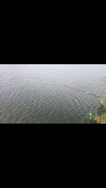 ОПЯТЬ ПОДЛЕЩИК!!! РЕКА ИШИМ РЫБАЛКА НА ДОНКИ 2023 смотреть онлайн