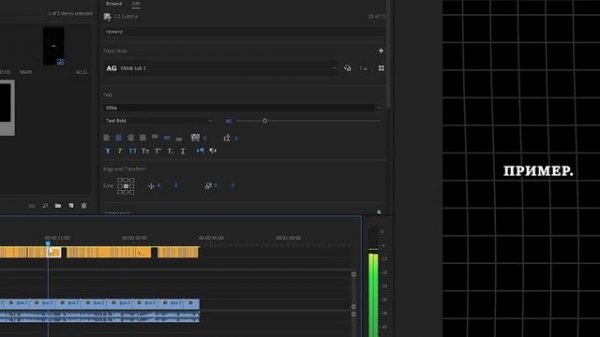 Как сделать АВТОМАТИЧЕСКИЕ СУБТИТРЫ в Premiere Pro | Решени?