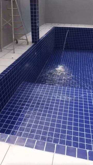 Наполнение бассейна водой 💧🏊♂️ смотреть онлайн