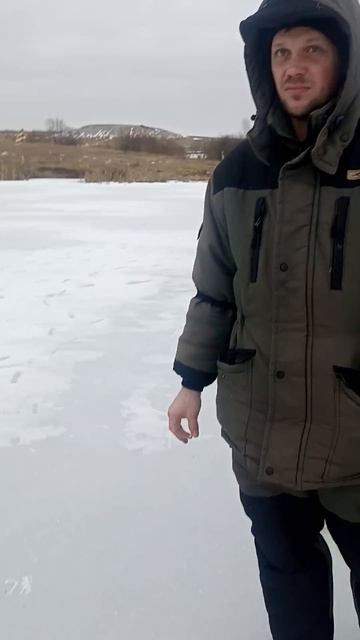 25 января 2025 г.