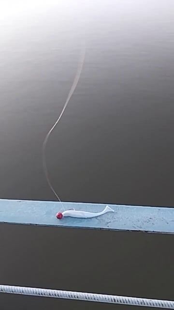 лайт выезд , болел #алматинскаяобласть #отдых #озеро #р? смотреть онлайн