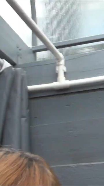 ЛЕТНИЙ ДУШ #shorts смотреть онлайн