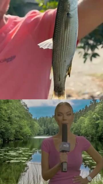 Показали в новостях #fishing #fish #funny #приколы #viral #рыбалка # смотреть онлайн