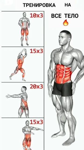 Упражнения на ВСЕ ТЕЛО #shortvideo #фитнес #китайский #fitness смотреть онлайн