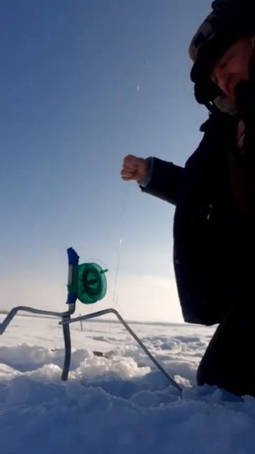 Рыбалка на жерлицы смотреть онлайн