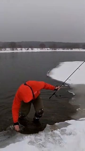 Зимняя рыбалка. Хорошая Щука. #shorts смотреть онлайн