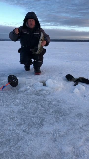 Щука на жерлицу на Онежском озере￼ смотреть онлайн