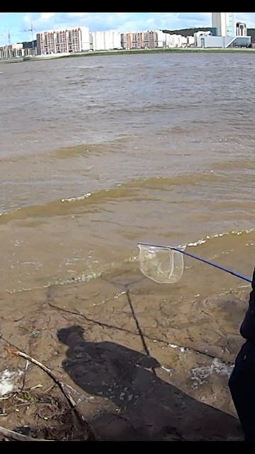 БУДНИ РЫБАКА. Хороший ЯЗЬ чуть не утащил вместе с удоч? смотреть онлайн