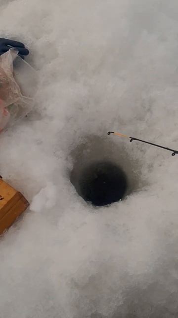 #сахалин #зимняя #рыбалка #навага смотреть онлайн