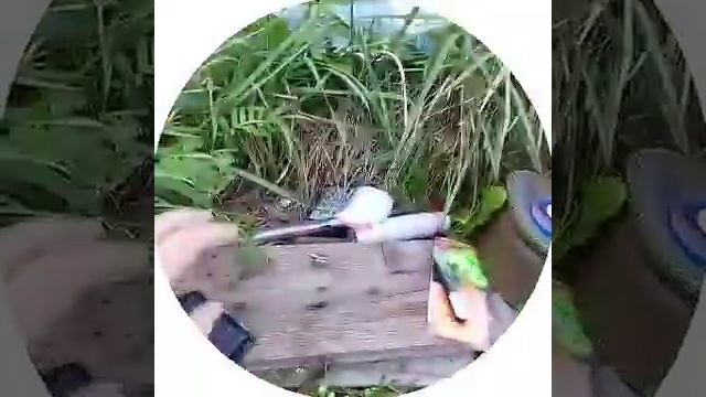 наш прудик. смотреть онлайн