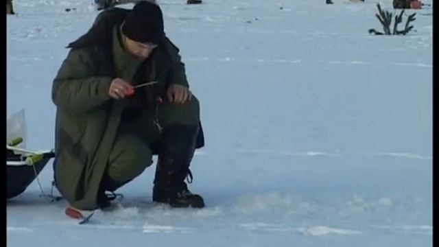 Как ловить уклейку зимой и где её искать? смотреть онлайн