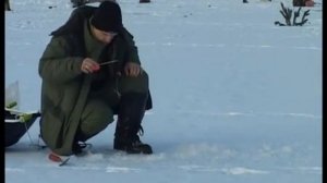 Как ловить уклейку зимой и где её искать?