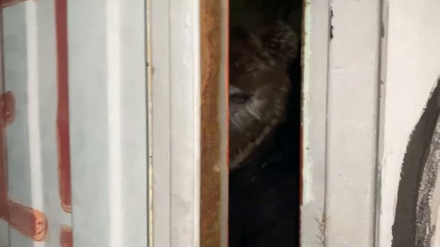 😱ХЭЛЛУИН И ДЕНЬ РОЖДЕНИЯ🎉СНОВА ДЕЛАЮ ТОРТ🎂