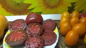 Томат Варшава. От этих "ШОКОЛАДНЫХ" помидор невозможно оторваться!