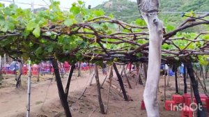 Экскурсия в Фанранг, где много всего интересного.