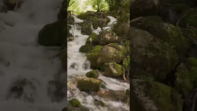 -Антон, если завтра твой сын не уйдёт из моей квартиры,