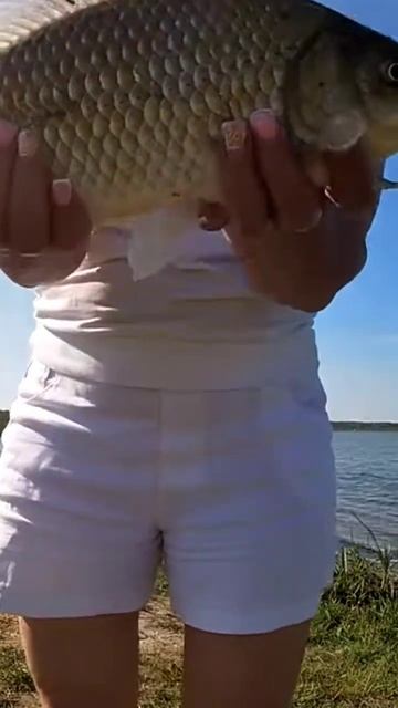 Долматово. Июль. 2024. смотреть онлайн