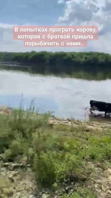 #youtube #блог #shorts #блогеры #ржач #семья #семейныйблог #юмо?