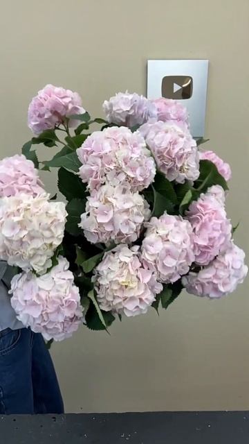 ГОРТЕНЗИЯ #shorts