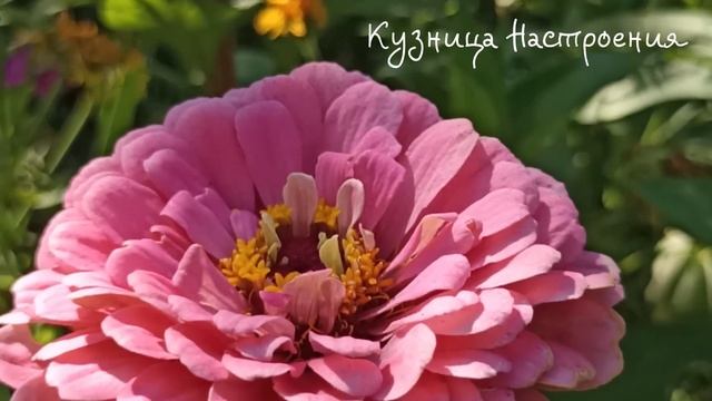 11 февраля Лаврентьев День Что нельзя делать 11 февраля смотреть онлайн