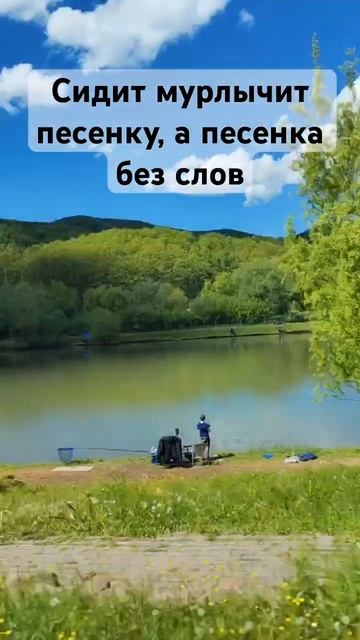 Рыбалка - отличный способ отдохнуть @relax_after_work смотреть онлайн