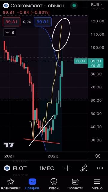 Какие мысли по акциям компании Совкомфлот